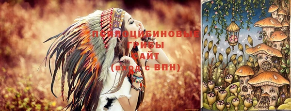 гидра Дмитриев