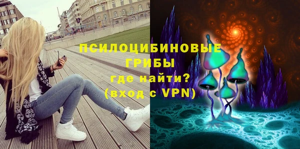 гидра Дмитриев